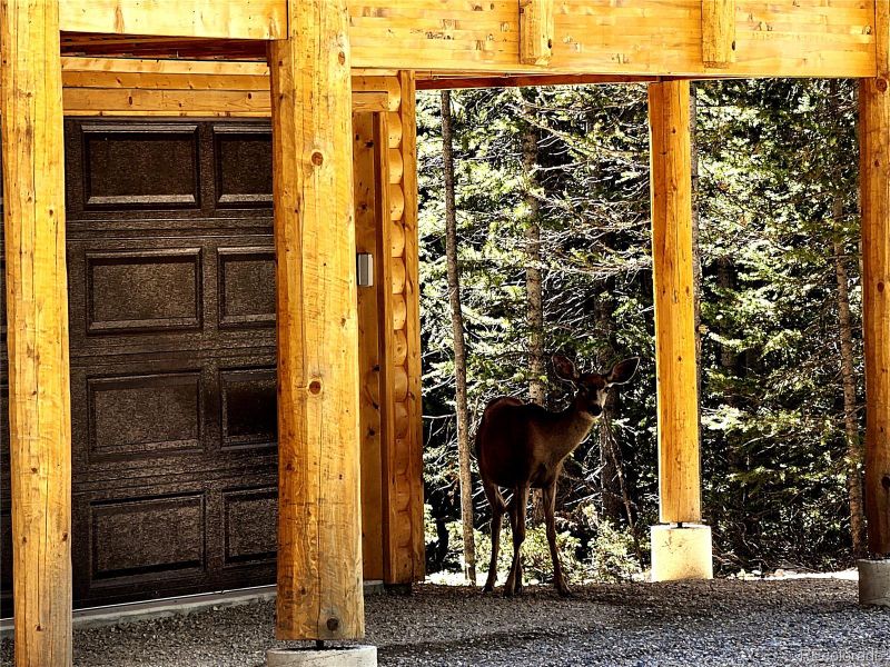 Image 11 of a home in .