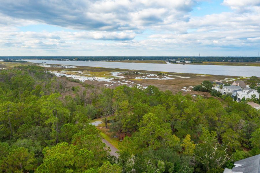 Natural landscape and outdoor views near  in Johns Island (Image 6).