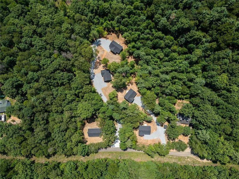 Natural landscape and outdoor views near  in Dahlonega (Image 37).