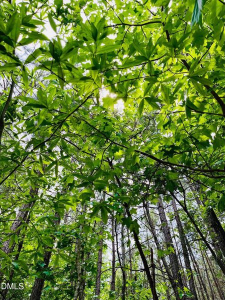 processed-43ED2A77-6518-4C7A-8611-CD862E processed-43ED2A77-6518-4C7A-8611-CD862E