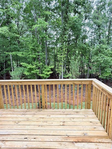 Exterior details and patio area of a home in Village of Waxhaw, Waxhaw (Image 3).