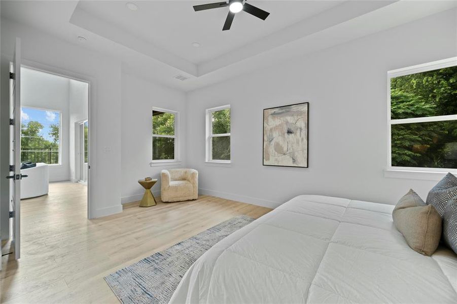 Bedroom featuring light wood-style floors, a tray ceiling, and ceiling fan Bedroom featuring light wood-style floors, a tray ceiling, and ceiling fan