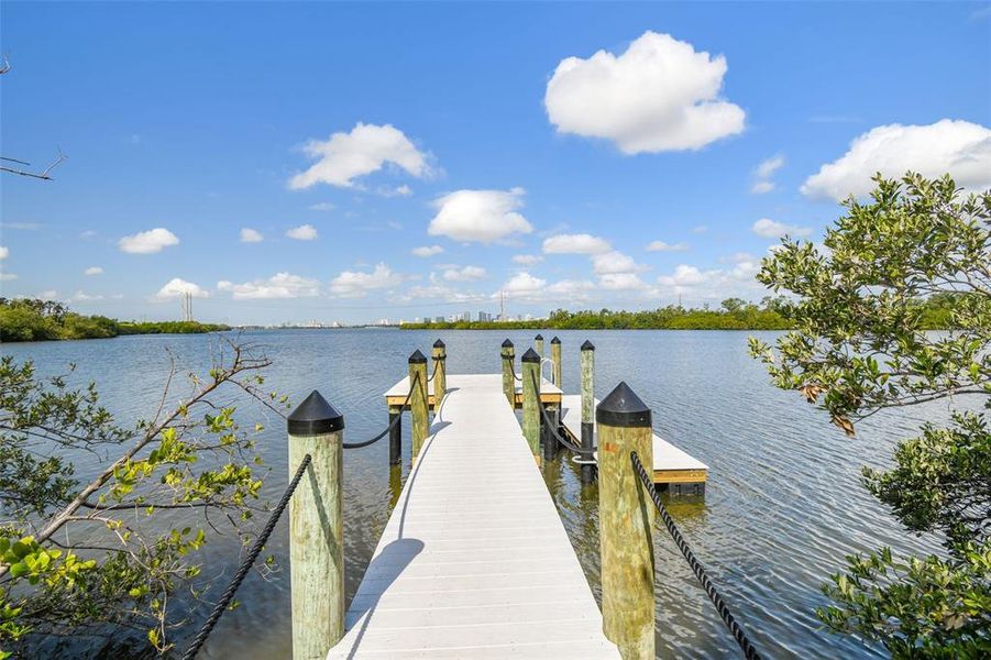 Natural landscape and outdoor views near in Tampa (Image 35). Natural landscape and outdoor views near in Tampa (Image 35).