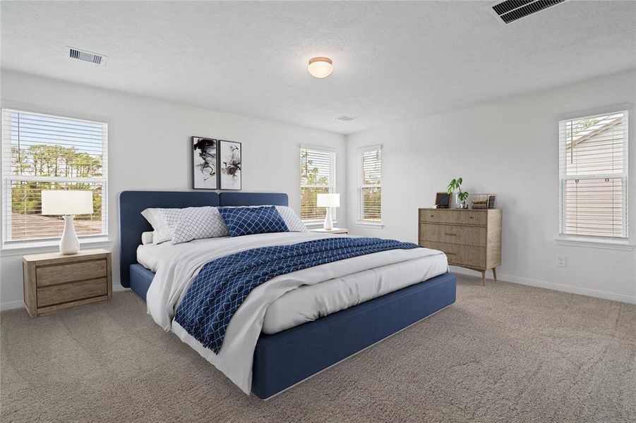 What a wonderful place to come home to, this stunning primary suite greets you with gorgeous plush carpet, custom paint, high ceiling, lighting, lovely windows with blinds allowing in natural light brightening up this spacious primary bedroom!