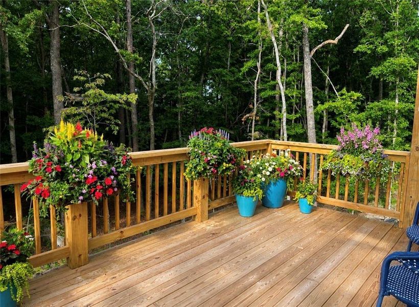 Exterior details and patio area of a home in , Waleska (Image 3). Exterior details and patio area of a home in , Waleska (Image 3).