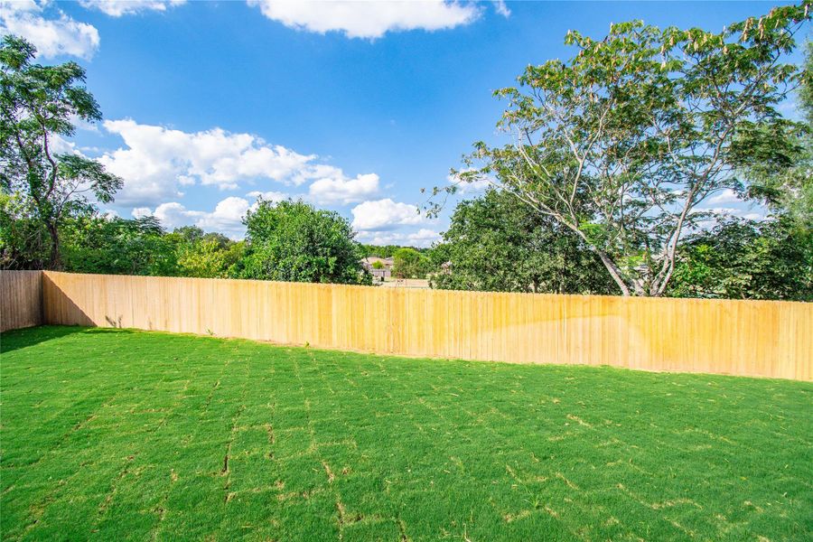 View of fenced backyard