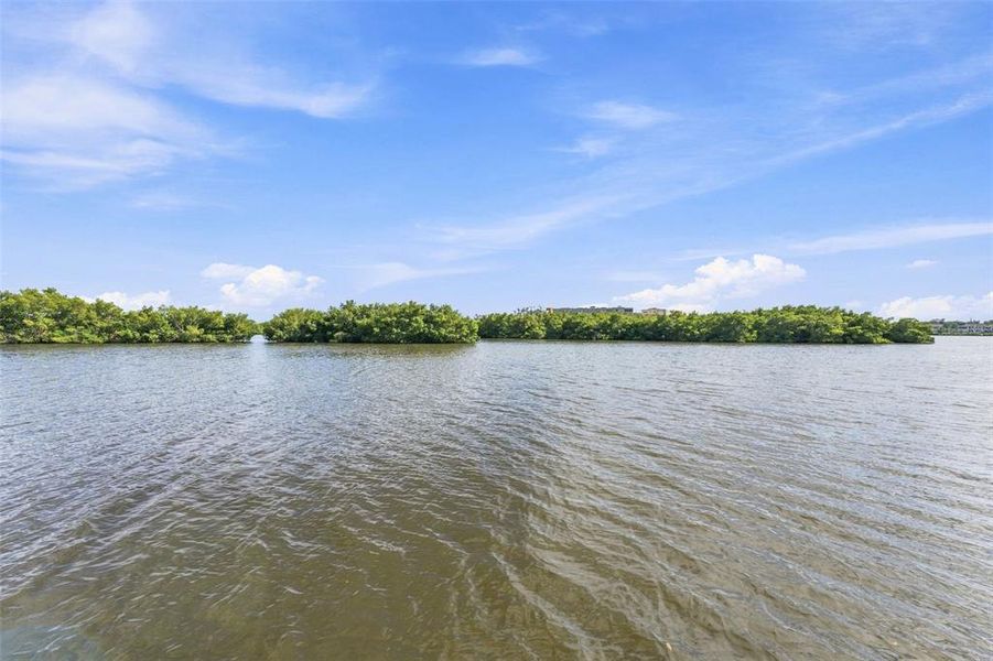 Natural landscape and outdoor views near  in Seminole (Image 52).