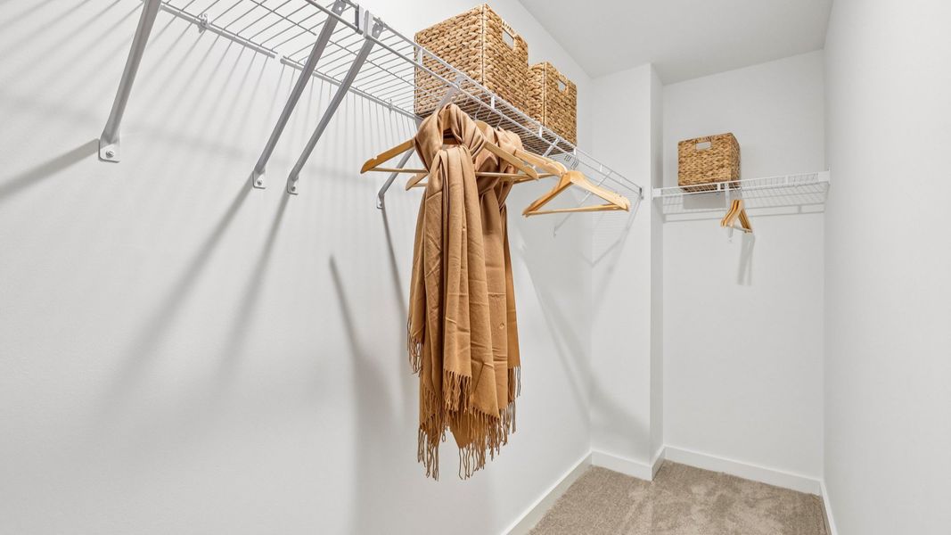 Closet with carpet and ventilated shelf Closet with carpet and ventilated shelf