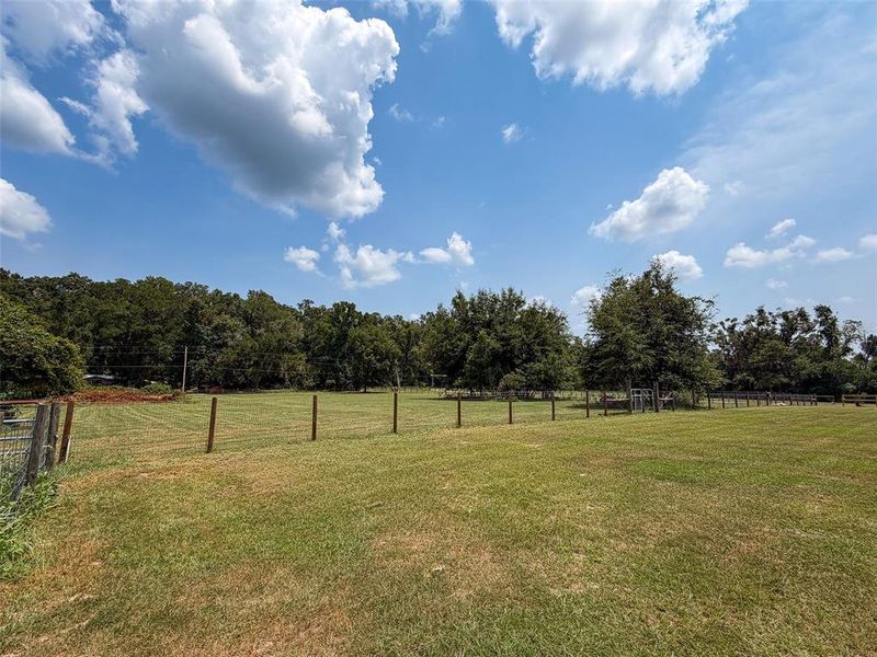 Natural landscape and outdoor views near in Fort White (Image 31). Natural landscape and outdoor views near in Fort White (Image 31).