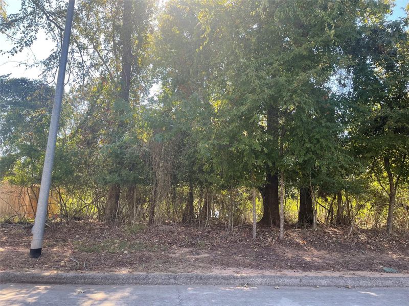 Natural landscape and outdoor views near Lake Conroe Area Homes in Montgomery (Image 26).