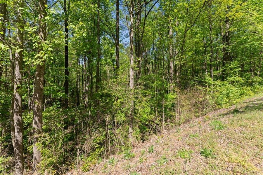 Natural landscape and outdoor views near in Commerce (Image 16). Natural landscape and outdoor views near in Commerce (Image 16).