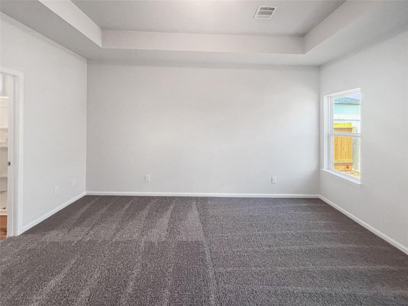 The Cardinal II- Primary Suite with Tray Ceiling The Cardinal II- Primary Suite with Tray Ceiling