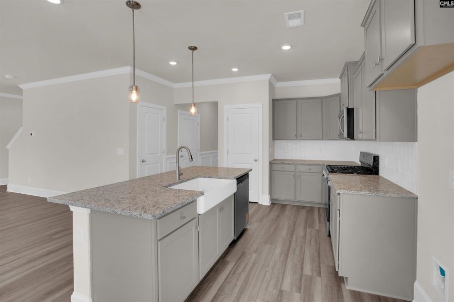 Furnished interior view inside a new home in Boykin Hills, Chapin (Image 5).