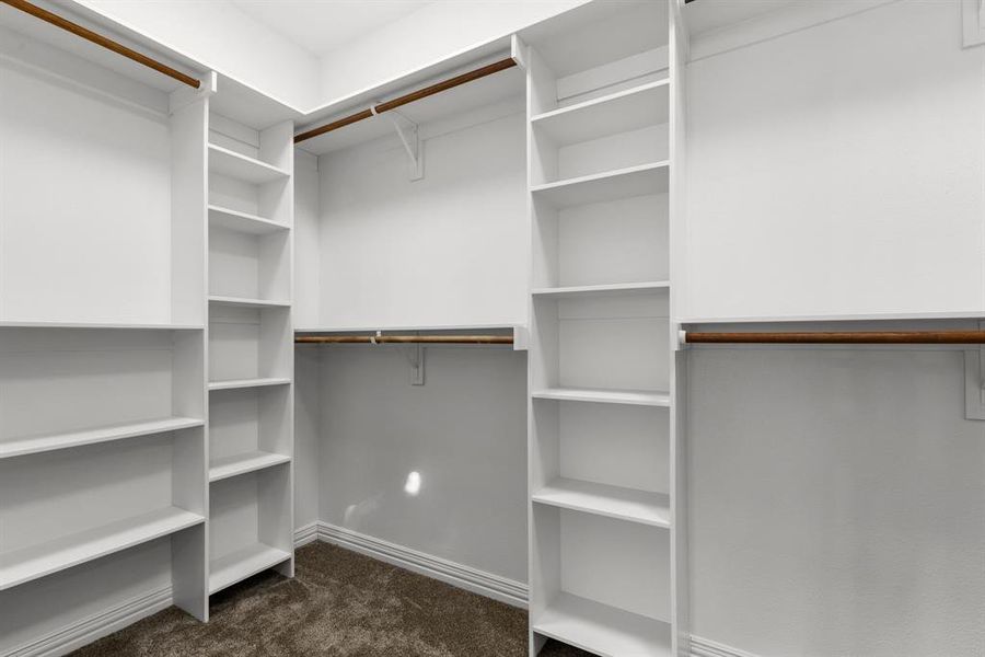 Spacious closet featuring dark colored carpet