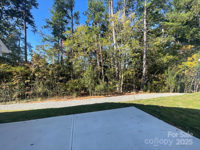 Natural landscape and outdoor views near Arbor Village in Matthews (Image 21).
