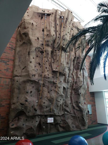 Rock Climbing Wall