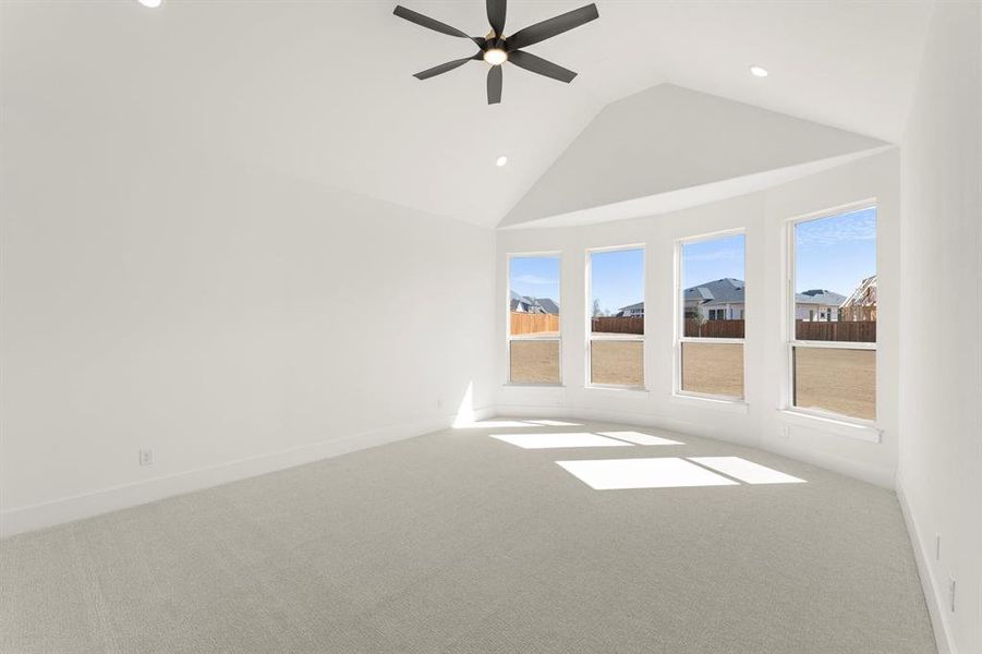 36. 3209 Canonero - Primary