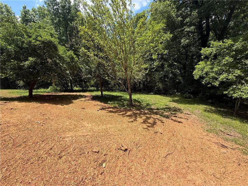 Natural landscape and outdoor views near  in Villa Rica (Image 8).