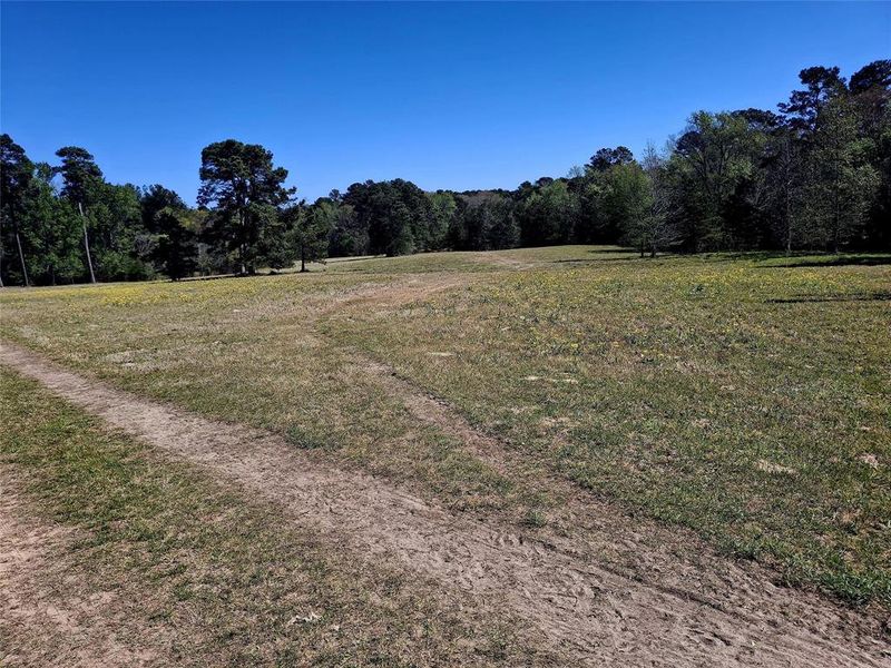 Natural landscape and outdoor views near  in Jacksonville (Image 6).