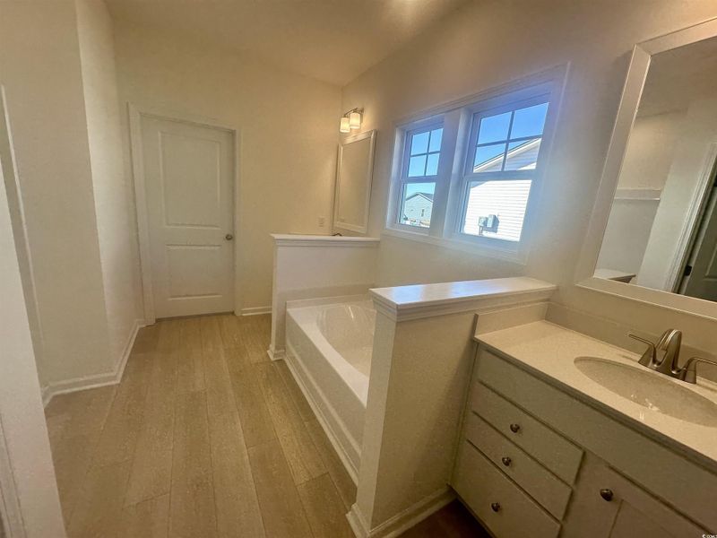 Full bath featuring light wood-type flooring, a garden tub, and vanity Full bath featuring light wood-type flooring, a garden tub, and vanity