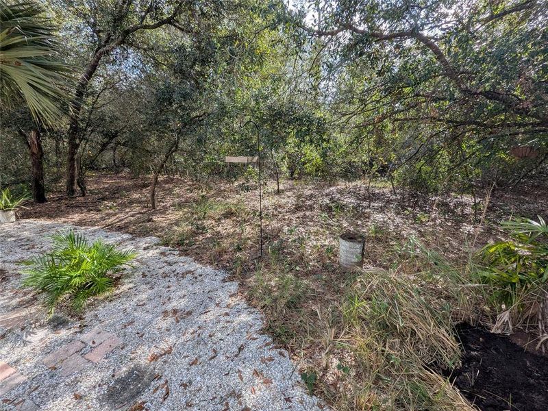 Natural landscape and outdoor views near  in Arcadia (Image 35).