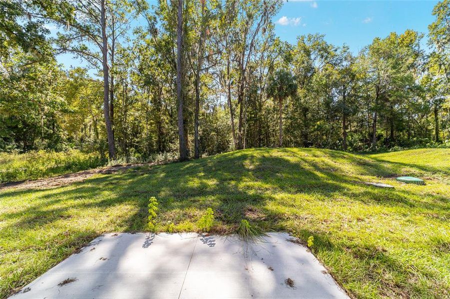 Natural landscape and outdoor views near in Ocala (Image 32). Natural landscape and outdoor views near in Ocala (Image 32).
