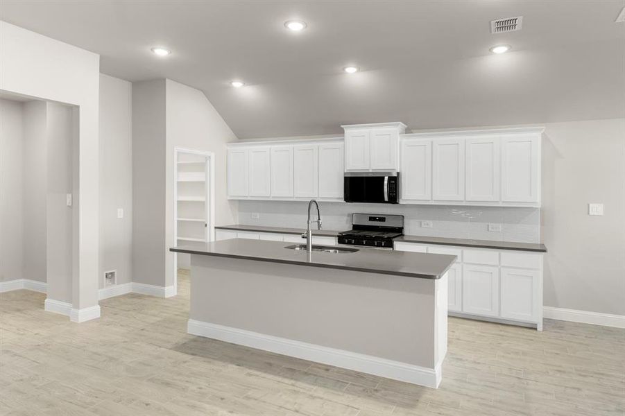 13. 141 Whistling Duck - Kitchen (3)