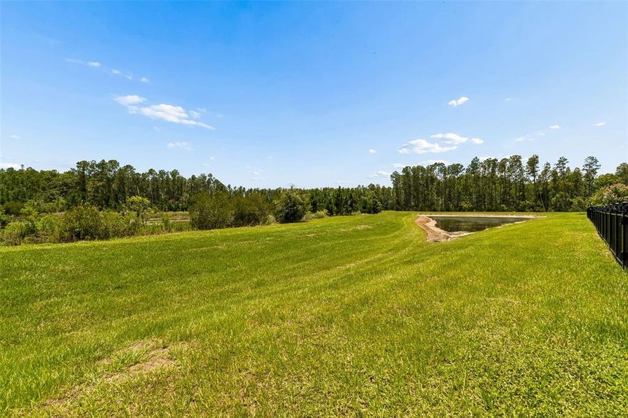 Natural landscape and outdoor views near Deerbrook in Land O' Lakes (Image 71).