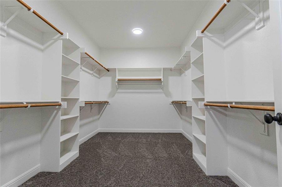 Walk in closet with dark carpet