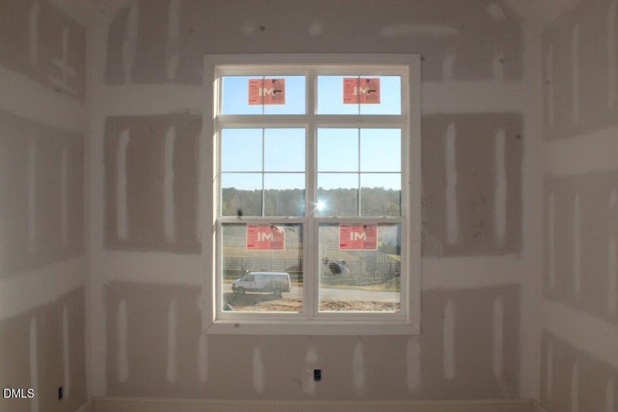 IMG_6961 (Medium) IMG_6961 (Medium)