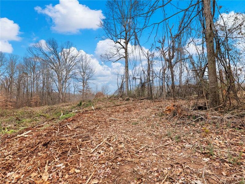 Natural landscape and outdoor views near in Gainesville (Image 40). Natural landscape and outdoor views near in Gainesville (Image 40).
