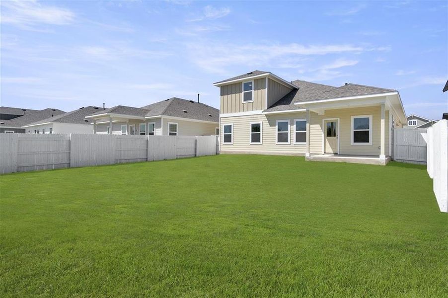 Backyard