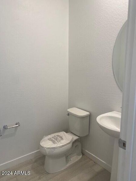 P20 Lot 31 Powder Room