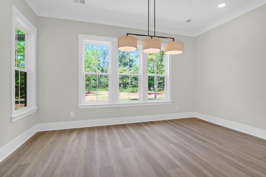 Spacious, unfurnished interior of a new home in , Summerville (Image 30).