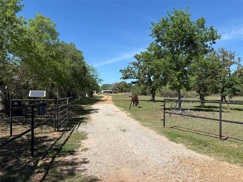 Driveway w/gated entry.