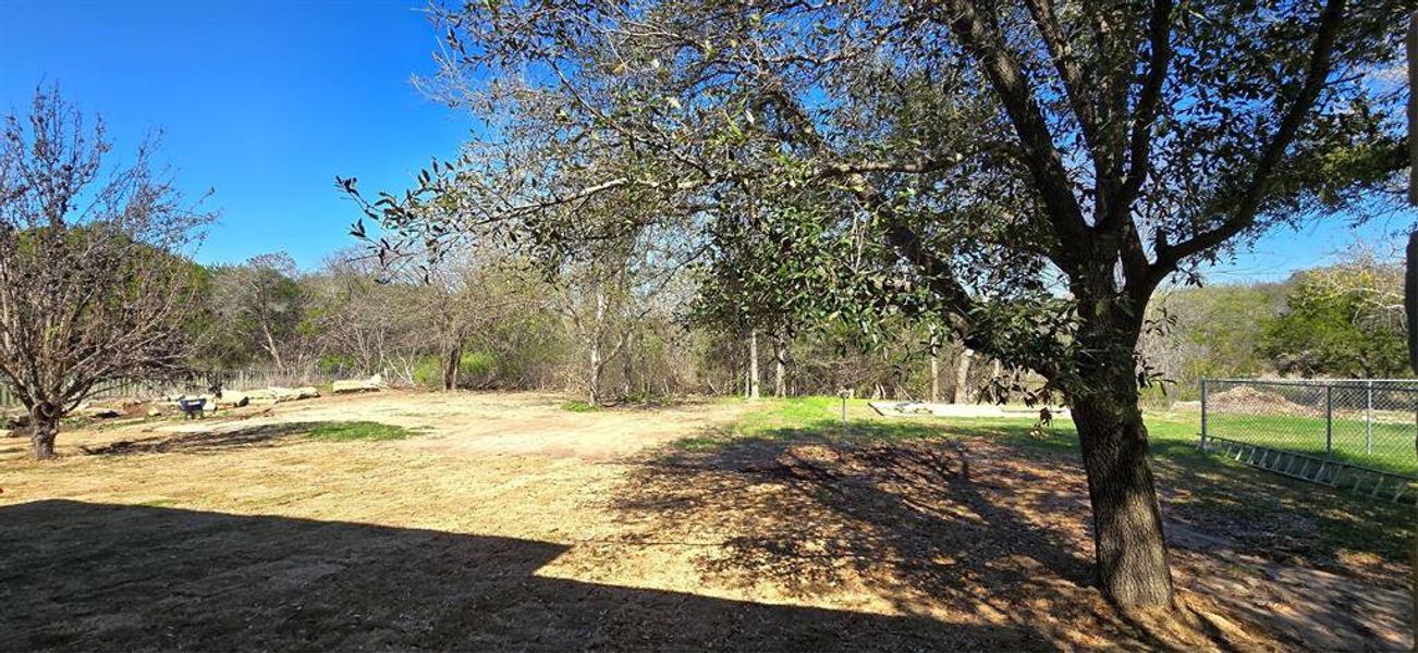 View of yard and trees View of yard and trees