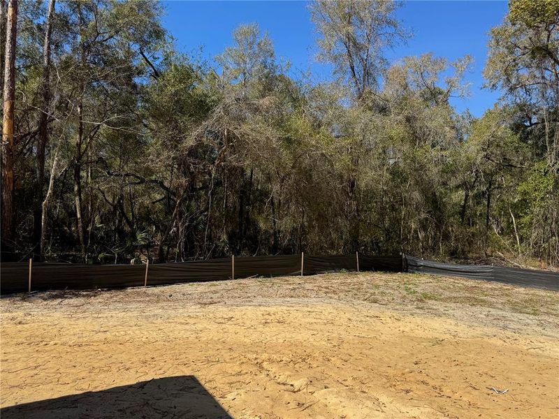 Natural landscape and outdoor views near in Citrus Springs (Image 48). Natural landscape and outdoor views near in Citrus Springs (Image 48).