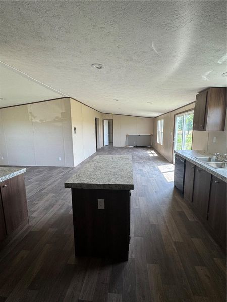 Wood-look flooring runs seamlessly through this spacious kitchen and adjoining living area.