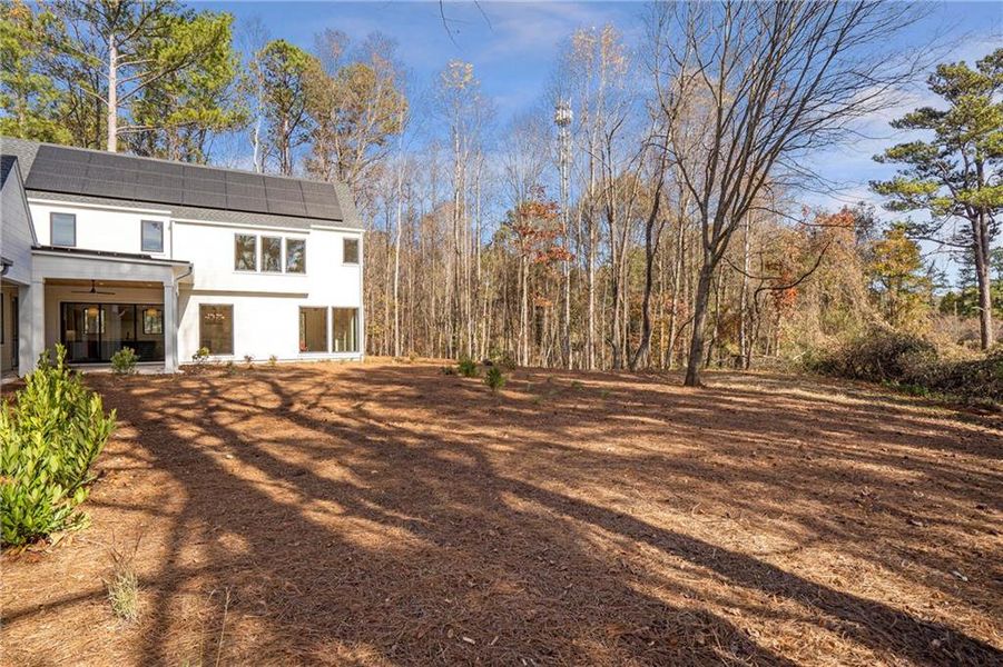 Exterior details and patio area of a home in Aster, Roswell (Image 31).
