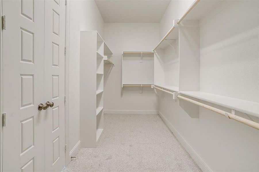 Spacious closet featuring light carpet