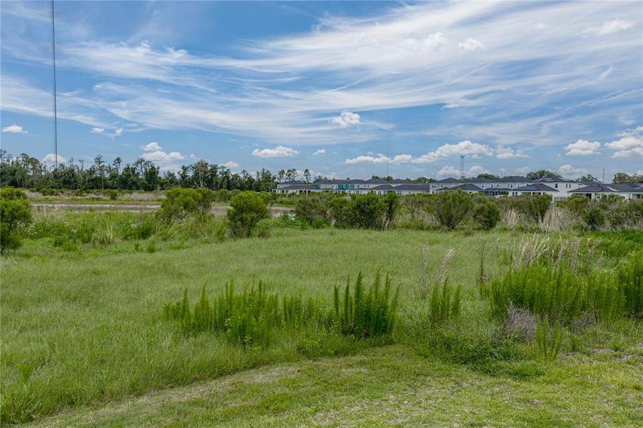 Natural landscape and outdoor views near  in Riverview (Image 56).