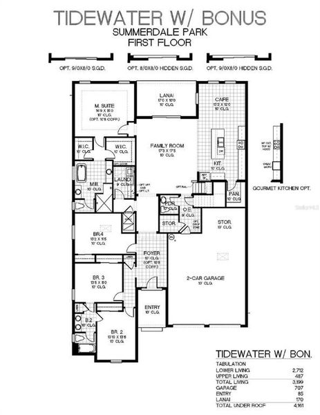 2D floor plan layout of this home in Palms at Windermere, Windermere, FL (Image 2).