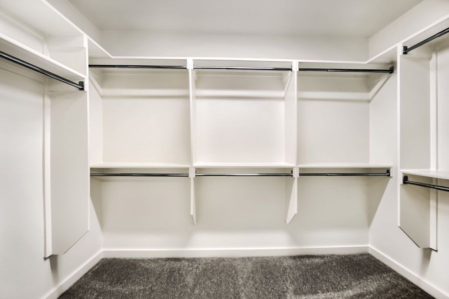 9809 Morning Cloak - Primary Closet