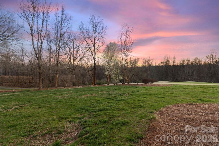 Natural landscape and outdoor views near  in Summerfield (Image 38).