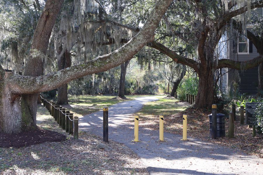 Natural landscape and outdoor views near Discover Series in Charleston (Image 13).