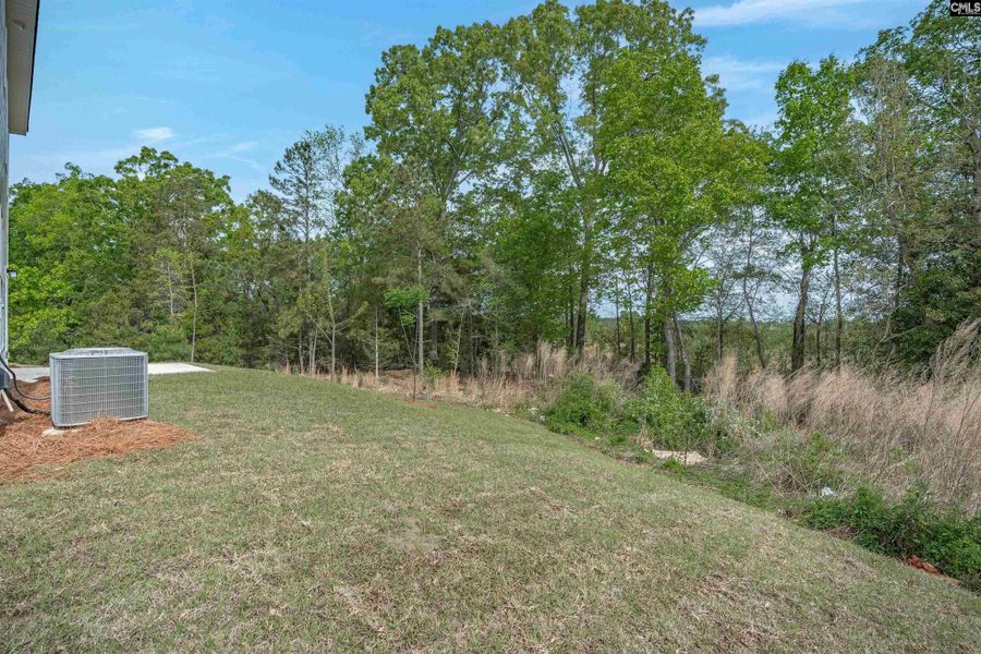 Natural landscape and outdoor views near Rolling Hills in Prosperity (Image 40). Natural landscape and outdoor views near Rolling Hills in Prosperity (Image 40).