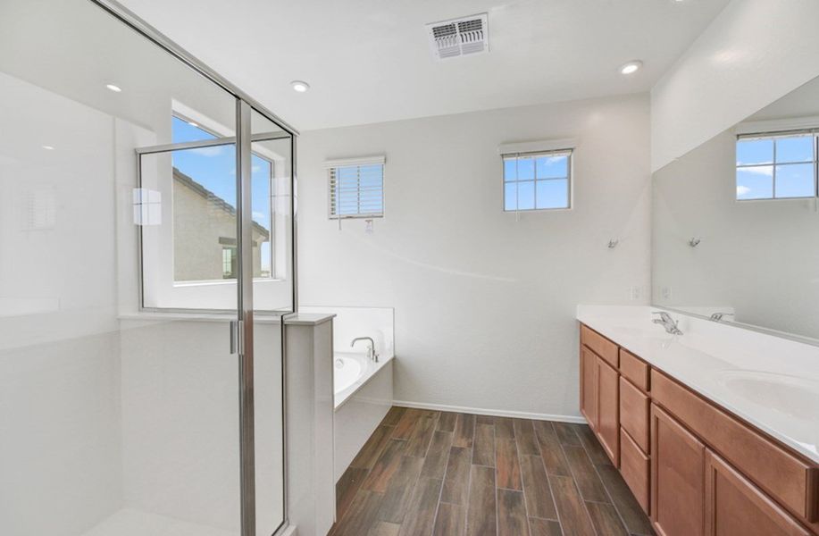 Hartwell Primary Bathroom Hartwell Primary Bathroom