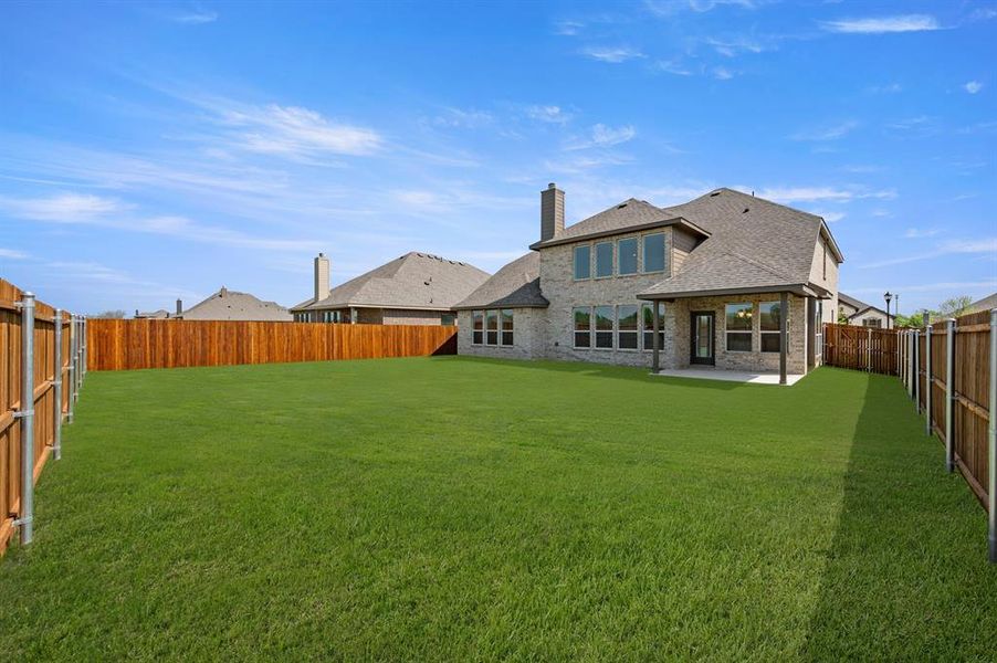 2_35 Harrier- Back-1 2_35 Harrier- Back-1