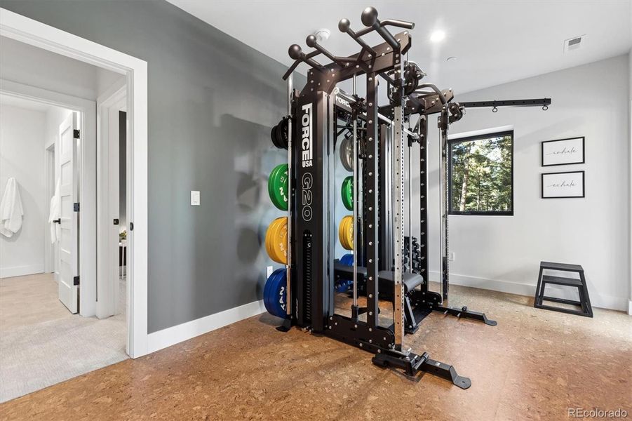 Home gym or additional bedroom provides exterior walk out access and a closet Home gym or additional bedroom provides exterior walk out access and a closet