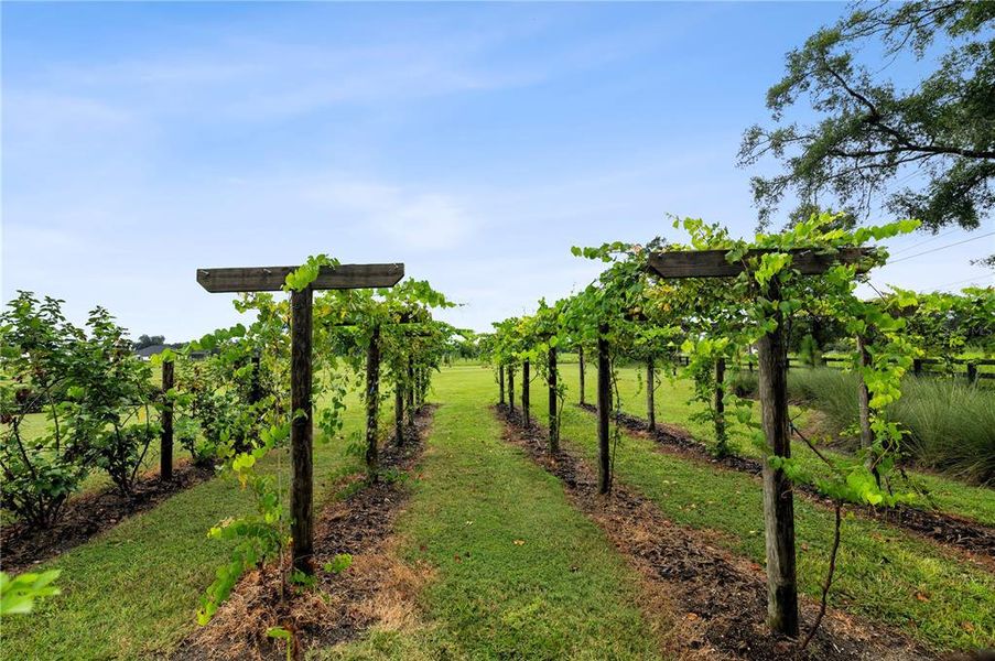 Natural landscape and outdoor views near  in Archer (Image 23).